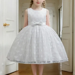 Girls Princess Party Dresses All Occasions
